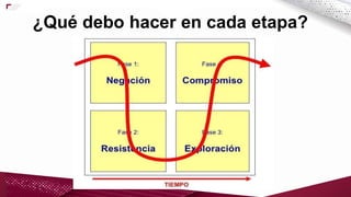 ¿Qué debo hacer en cada etapa?
 