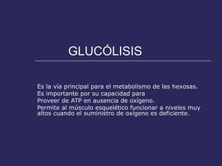 GLUCÓLISIS

Es la vía principal para el metabolismo de las hexosas.
Es importante por su capacidad para
Proveer de ATP en ausencia de oxígeno.
Permite al músculo esquelético funcionar a niveles muy
altos cuando el suministro de oxígeno es deficiente.
 