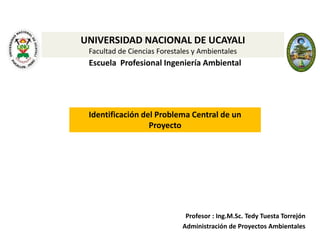 1
El Sistema Nacional de
Inversión Pública
UNIVERSIDAD NACIONAL DE UCAYALI
Facultad de Ciencias Forestales y Ambientales
Ing. Tedy Tuesta Torrejón
 
