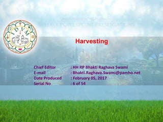 Harvesting
Chief Editor : HH RP Bhakti Raghava Swami
E-mail : Bhakti.Raghava.Swami@pamho.net
Date Produced : February 05, 2017
Serial No : 6 of 54
 