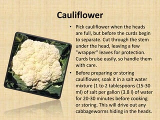 Cauliflower
• Pick cauliflower when the heads
are full, but before the curds begin
to separate. Cut through the stem
under the head, leaving a few
"wrapper" leaves for protection.
Curds bruise easily, so handle them
with care.
• Before preparing or storing
cauliflower, soak it in a salt water
mixture (1 to 2 tablespoons (15-30
ml) of salt per gallon (3.8 l) of water
for 20-30 minutes before cooking
or storing. This will drive out any
cabbageworms hiding in the heads.
 