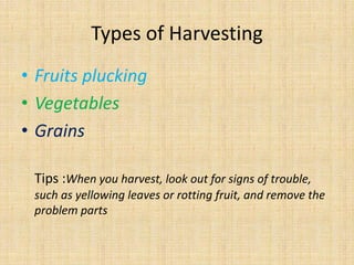 Types of Harvesting
• Fruits plucking
• Vegetables
• Grains
Tips :When you harvest, look out for signs of trouble,
such as yellowing leaves or rotting fruit, and remove the
problem parts
 