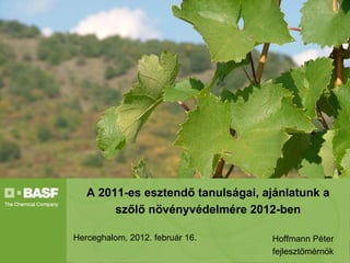 A 2011-es esztendő tanulságai, ajánlatunk a
        szőlő növényvédelmére 2012-ben

Herceghalom, 2012. február 16.     Hoffmann Péter
                                   fejlesztőmérnök
 