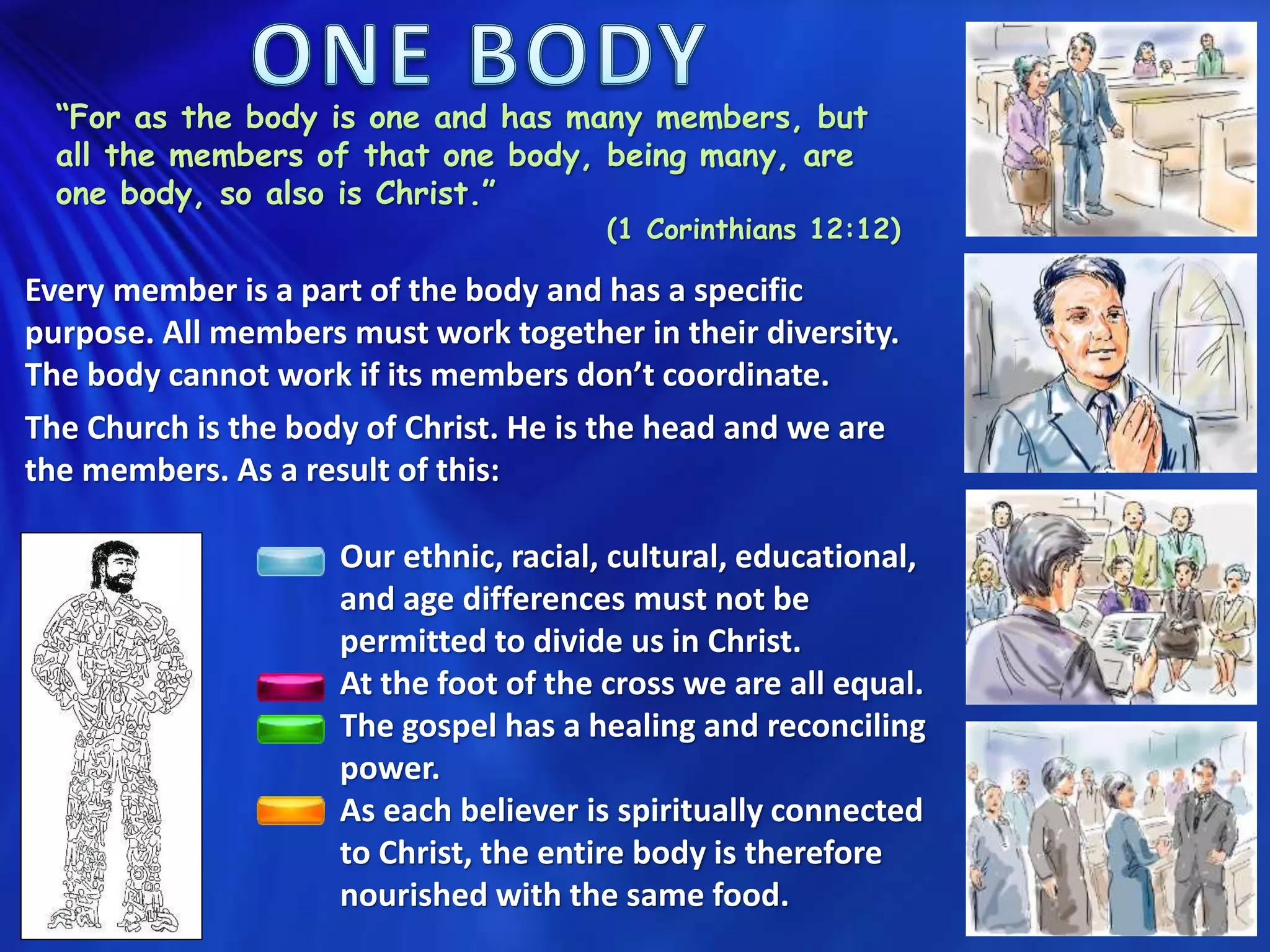 “For as the body is one and has many members, but
all the members of that one body, being many, are
one body, so also is Christ.”
(1 Corinthians 12:12)
Every member is a part of the body and has a specific
purpose. All members must work together in their diversity.
The body cannot work if its members don’t coordinate.
The Church is the body of Christ. He is the head and we are
the members. As a result of this:
Our ethnic, racial, cultural, educational,
and age differences must not be
permitted to divide us in Christ.
At the foot of the cross we are all equal.
The gospel has a healing and reconciling
power.
As each believer is spiritually connected
to Christ, the entire body is therefore
nourished with the same food.
 