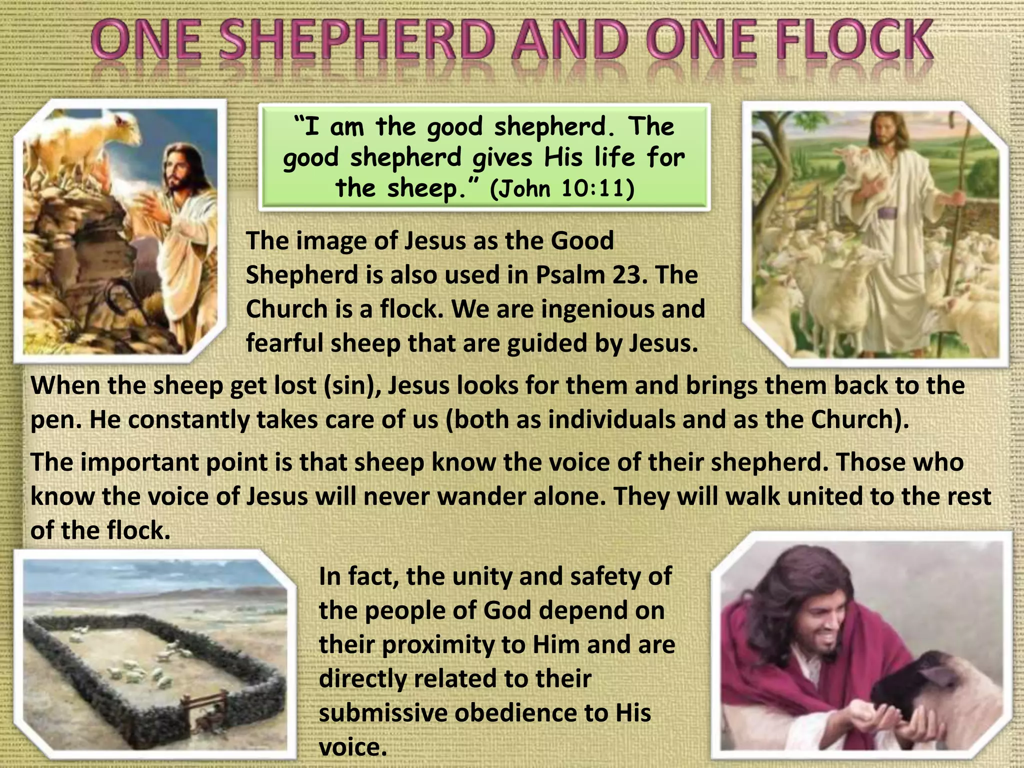 “I am the good shepherd. The
good shepherd gives His life for
the sheep.” (John 10:11)
The image of Jesus as the Good
Shepherd is also used in Psalm 23. The
Church is a flock. We are ingenious and
fearful sheep that are guided by Jesus.
When the sheep get lost (sin), Jesus looks for them and brings them back to the
pen. He constantly takes care of us (both as individuals and as the Church).
The important point is that sheep know the voice of their shepherd. Those who
know the voice of Jesus will never wander alone. They will walk united to the rest
of the flock.
In fact, the unity and safety of
the people of God depend on
their proximity to Him and are
directly related to their
submissive obedience to His
voice.
 