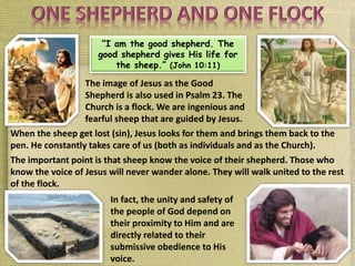 “I am the good shepherd. The
good shepherd gives His life for
the sheep.” (John 10:11)
The image of Jesus as the Good
Shepherd is also used in Psalm 23. The
Church is a flock. We are ingenious and
fearful sheep that are guided by Jesus.
When the sheep get lost (sin), Jesus looks for them and brings them back to the
pen. He constantly takes care of us (both as individuals and as the Church).
The important point is that sheep know the voice of their shepherd. Those who
know the voice of Jesus will never wander alone. They will walk united to the rest
of the flock.
In fact, the unity and safety of
the people of God depend on
their proximity to Him and are
directly related to their
submissive obedience to His
voice.
 