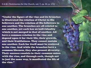 “Under the figure of the vine and its branches
is illustrated the relation of Christ to His
followers and the relation of His followers to
one another. The branches are all related to
one another, yet each has an individuality
which is not merged in that of another. All
have a common relation to the vine and
depend upon it for their life, their growth,
and their fruitfulness. They cannot sustain
one another. Each for itself must be centered
in the vine. And while the branches have a
common likeness, they also present diversity.
Their oneness consists in their common union
with the vine, and through each, though not
in just the same way, is manifested the life of
the vine.”
E.G.W. (Testimonies for the Church, vol. 7, cp. 32, p. 171)
 
