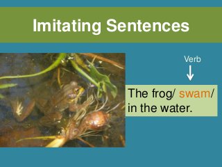 Imitating Sentences
The frog/ swam/
in the water.
Verb
 