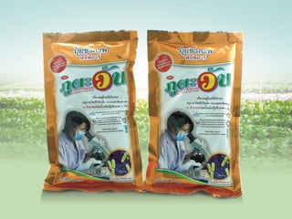 2129 เมษายน 2558
 