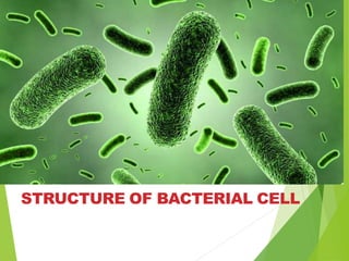 STRUCTURE OF BACTERIAL CELL
 