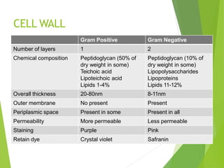CELL WALL
Gram Positive Gram Negative
Number of layers 1 2
Chemical composition Peptidoglycan (50% of
dry weight in some)
Teichoic acid
Lipoteichoic acid
Lipids 1-4%
Peptidoglycan (10% of
dry weight in some)
Lipopolysaccharides
Lipoproteins
Lipids 11-12%
Overall thickness 20-80nm 8-11nm
Outer membrane No present Present
Periplasmic space Present in some Present in all
Permeability More permeable Less permeable
Staining Purple Pink
Retain dye Crystal violet Safranin
 