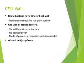 CELL WALL
 Some bacteria have different cell wall
• Neither gram negative nor gram positive
 Cell wall of archeobacteria
• Very different from eubacteria
• No peptidoglycan
• Made of protein, glycoprotein, polysaccharides
 Absent in Mycoplasma
 