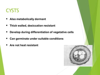 CYSTS
 Also metabolically dormant
 Thick walled, desiccation resistant
 Develop during differentiation of vegetative cells
 Can germinate under suitable conditions
 Are not heat resistant
 