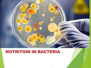 NUTRITION IN BACTERIA
 