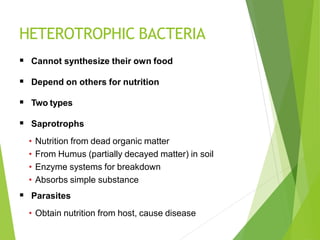 HETEROTROPHIC BACTERIA
 Cannot synthesize their own food
 Depend on others for nutrition
 Two types
 Saprotrophs
• Nutrition from dead organic matter
• From Humus (partially decayed matter) in soil
• Enzyme systems for breakdown
• Absorbs simple substance
 Parasites
• Obtain nutrition from host, cause disease
 