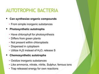 AUTOTROPHIC BACTERIA
 Can synthesize organic compounds
• From simple inorganic substances
 Photosynthetic autotrophs
• Have chlorophyll for photosynthesis
• Differs from green plants
• Not present within chloroplasts
• Dispersed in cytoplasm
• Utilize H2S instead of H2O, release S
 Chemosynthetic autotrophs
• Oxidize inorganic substances
• Like ammonia, nitrate, nitrite, Sulphur, ferrous ions
• Trap released energy for own reactions
 