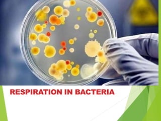 RESPIRATION IN BACTERIA
 