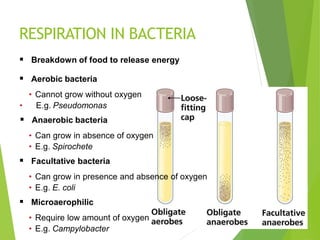 RESPIRATION IN BACTERIA
 Breakdown of food to release energy
 Aerobic bacteria
• Cannot grow without oxygen
• E.g. Pseudomonas
 Anaerobic bacteria
• Can grow in absence of oxygen
• E.g. Spirochete
 Facultative bacteria
• Can grow in presence and absence of oxygen
• E.g. E. coli
 Microaerophilic
• Require low amount of oxygen
• E.g. Campylobacter
 