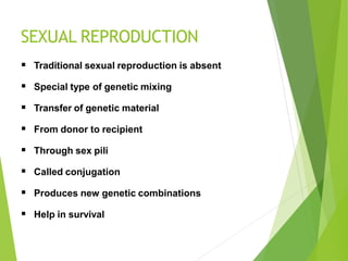 SEXUAL REPRODUCTION
 Traditional sexual reproduction is absent
 Special type of genetic mixing
 Transfer of genetic material
 From donor to recipient
 Through sex pili
 Called conjugation
 Produces new genetic combinations
 Help in survival
 