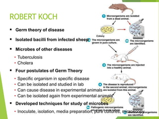ROBERT KOCH
 Germ theory of disease
 Isolated bacilli from infected sheep
 Microbes of other diseases
• Tuberculosis
• Cholera
 Four postulates of Germ Theory
• Specific organism in specific disease
• Can be isolated and studied in lab
• Can cause disease in experimental animals
• Can be isolated again from experimental animals
 Developed techniques for study of microbes
• Inoculate, isolation, media preparation, pure cultures, microscopy
 