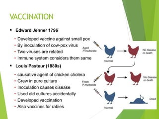 VACCINATION
 Edward Jenner 1796
• Developed vaccine against small pox
• By inoculation of cow-pox virus
• Two viruses are related
• Immune system considers them same
 Louis Pasteur (1880s)
• causative agent of chicken cholera
• Grew in pure culture
• Inoculation causes disease
• Used old cultures accidentally
• Developed vaccination
• Also vaccines for rabies
 