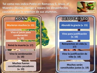 Tal como nos indica Pablo en Romanos 5, Jesús, el
Maestro Divino, corrige y repara los desperfectos
causados por la rebelión de sus alumnos.
A D Á N
Murieron muchos (v. 15)
Vino el juicio para
condenación
(v. 16)
Reinó la muerte (v. 17)
Vino la condenación
(v. 18)
Muchos fueron
constituidos pecadores
(v. 19)
J E S U C R I S T O
Abundó la gracia (v. 15)
Vino para justificación
(v. 16)
Reinaremos en vida (v.
17)
Vino la justificación de
vida (v. 18)
Muchos serán
constituidos justos (v. 19)
 