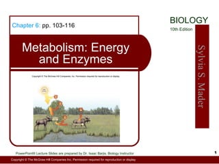 Chapter 6:  pp. 103-116 Metabolism: Energy and Enzymes Copyright © The McGraw-Hill Companies, Inc. Permission required for reproduction or display. solar energy heat heat heat heat Mechanical energy Chemical energy 