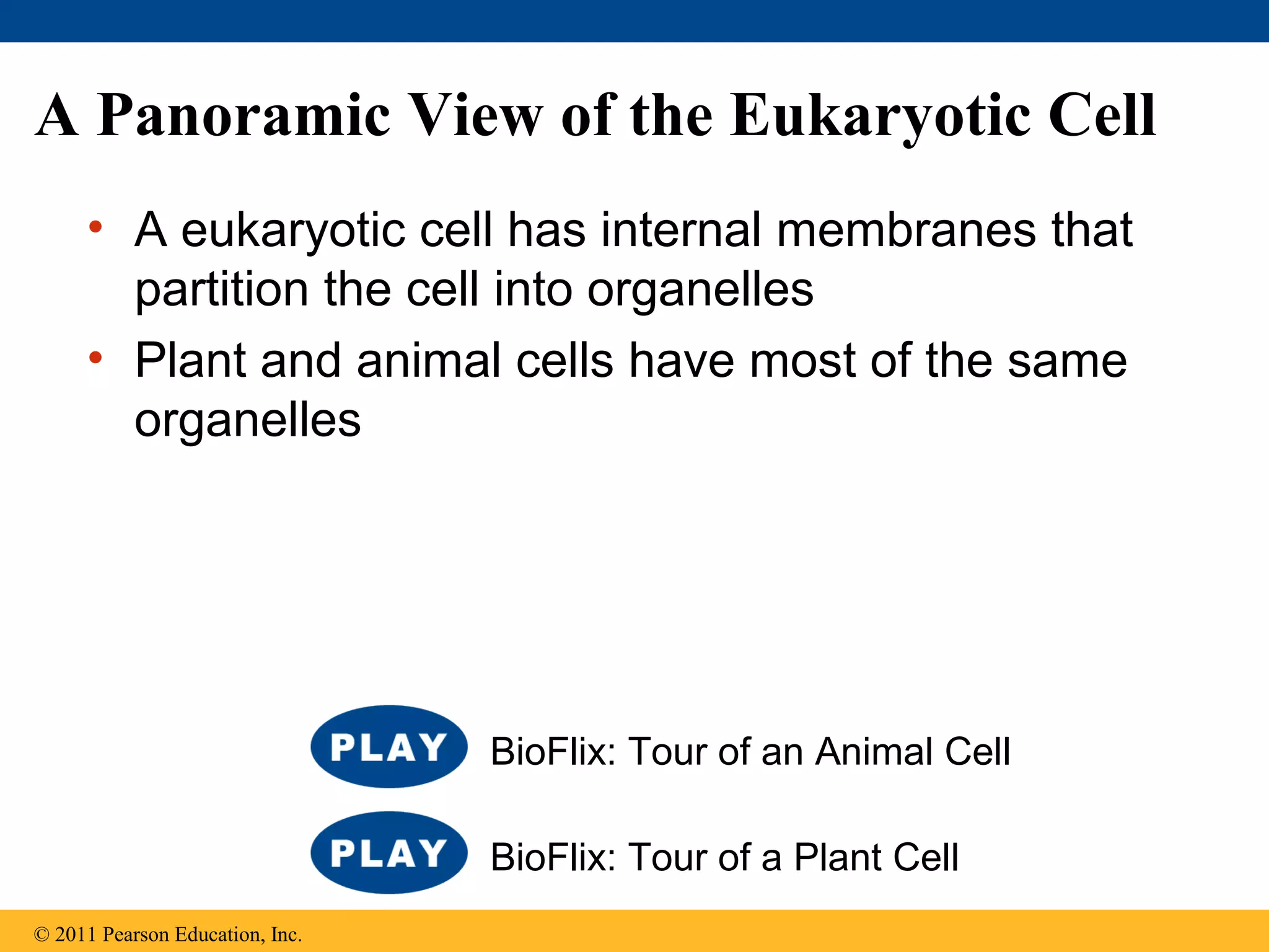 Ch 6: A Tour of the Cell | PPT