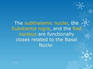 Comprehensive Neuroanatomy of Basal Ganglia: Structure, Function, and ...