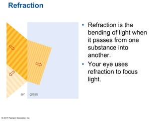 Refraction
• Refraction is the
bending of light when
it passes from one
substance into
another.
• Your eye uses
refraction to focus
light.
© 2017 Pearson Education, Inc.
 