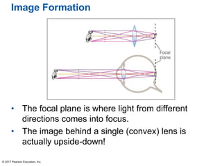 Image Formation
• The focal plane is where light from different
directions comes into focus.
• The image behind a single (convex) lens is
actually upside-down!
© 2017 Pearson Education, Inc.
 