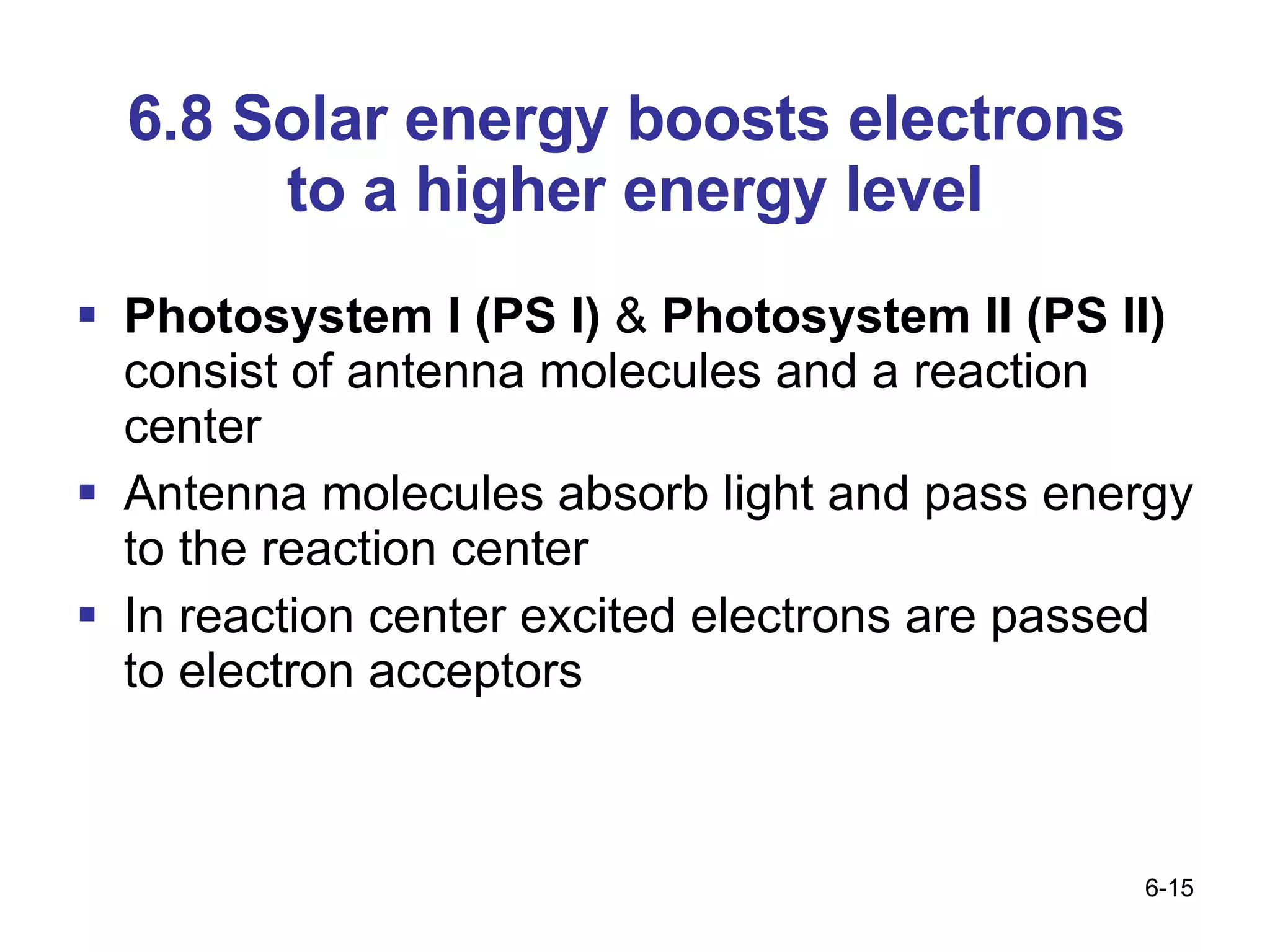 6.8 Solar energy boosts electrons  to a higher energy level Photosystem I (PS I)  &  Photosystem II (PS II)  consist of antenna molecules and a reaction center Antenna molecules absorb light and pass energy to the reaction center  In reaction center excited electrons are passed to electron acceptors 