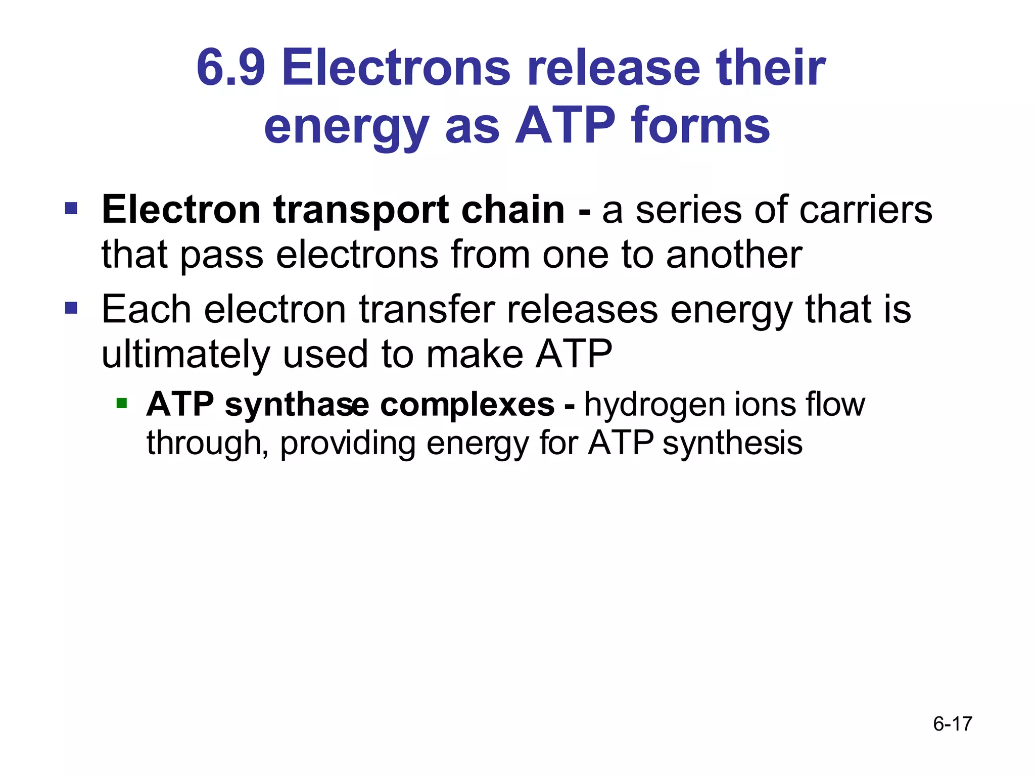 6.9 Electrons release their  energy as ATP forms Electron transport chain -  a series of carriers that pass electrons from one to another  Each electron transfer releases energy that is ultimately used to make ATP ATP synthase complexes -  hydrogen ions flow through, providing energy for ATP synthesis 