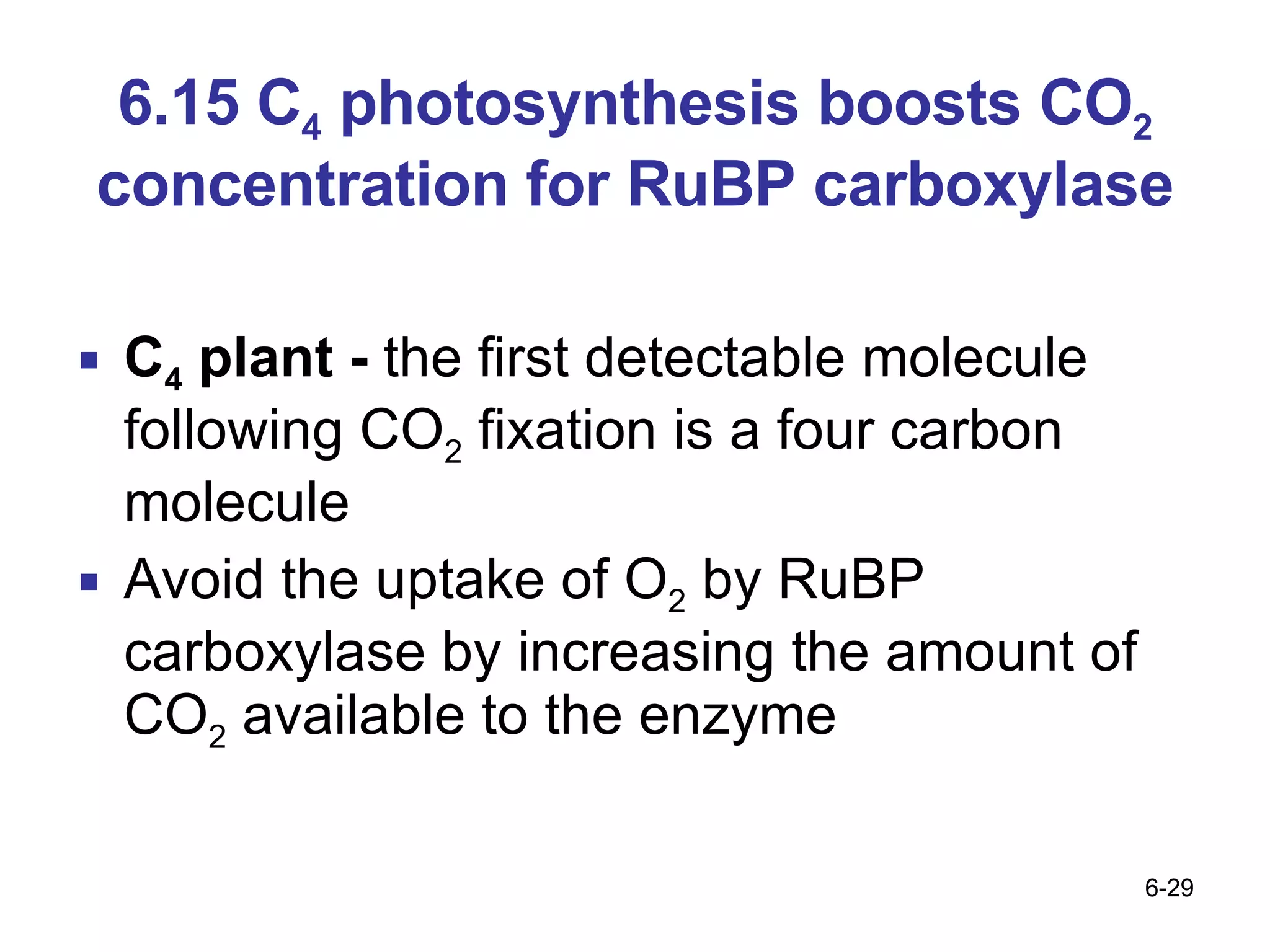 6.15 C 4  photosynthesis boosts CO 2  concentration for RuBP carboxylase C 4  plant -  the first detectable molecule following CO 2  fixation is a four carbon molecule Avoid the uptake of O 2  by RuBP carboxylase by increasing the amount of CO 2  available to the enzyme 