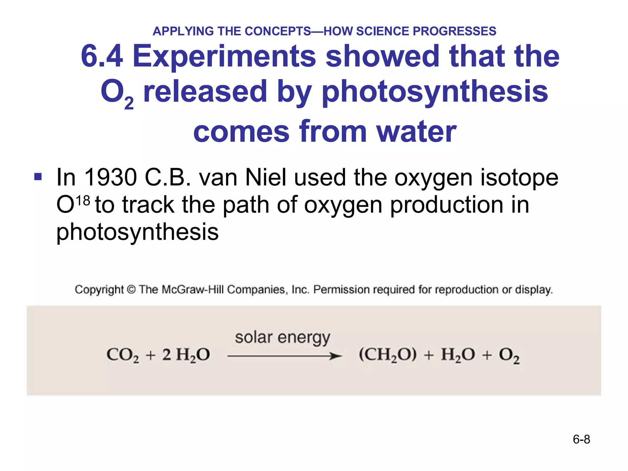APPLYING THE CONCEPTS—HOW SCIENCE PROGRESSES 6.4 Experiments showed that the  O 2  released by photosynthesis comes from water In 1930 C.B. van Niel used the oxygen isotope O 18  to track the path of oxygen production in photosynthesis 