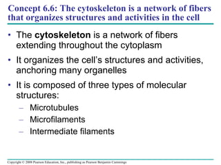 Tour of Cell | PPT