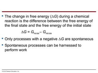  The change in free energy (∆G) during a chemical
reaction is the difference between the free energy of
the final state a...