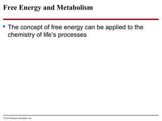 Free Energy and Metabolism
 The concept of free energy can be applied to the
chemistry of life’s processes
© 2014 Pearson...