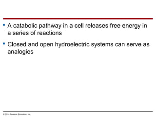  A catabolic pathway in a cell releases free energy in
a series of reactions
 Closed and open hydroelectric systems can ...
