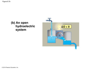 © 2014 Pearson Education, Inc.
Figure 6.7b
∆G < 0
(b) An open
hydroelectric
system
 