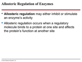 Allosteric Regulation of Enzymes
 Allosteric regulation may either inhibit or stimulate
an enzyme’s activity
 Allosteric...