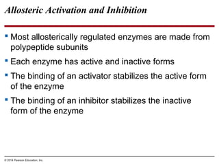 Allosteric Activation and Inhibition
 Most allosterically regulated enzymes are made from
polypeptide subunits
 Each enz...