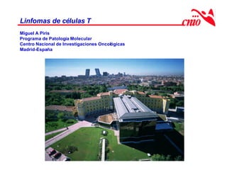 Linfomas de células T
Miguel A Piris
Programa de Patología Molecular
Centro Nacional de Investigaciones Oncológicas
Madrid-España
 