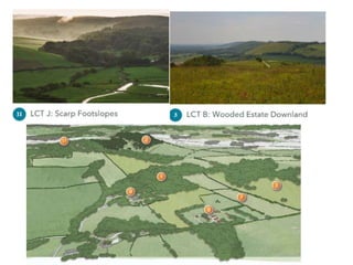 Net Zero for the South Downs National Park