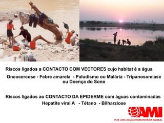 Riscos ligados a CONTACTO COM VECTORES cujo habitat é a água
Oncocercose - Febre amarela - Paludismo ou Malária - Tripanosomiase
                       ou Doença do Sono


Riscos ligados ao CONTACTO DA EPIDERME com águas contaminadas
                Hepatite viral A - Tétano - Bilharziose
 