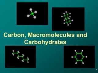 Carbon, Macromolecules and
      Carbohydrates



                             1
 