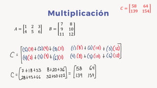 Comprehensive Guide to Matrices and Linear Equations in Numerical ...