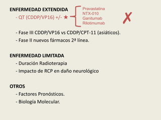 ENFERMEDAD EXTENDIDA
- QT (CDDP/VP16) +/- ★

Pravastatina
NTX-010
Ganitumab
Rilotimumab

✗

- Fase III CDDP/VP16 vs CDDP/CPT-11 (asiáticos).
- Fase II nuevos fármacos 2ª línea.
ENFERMEDAD LIMITADA
- Duración Radioterapia
- Impacto de RCP en daño neurológico
OTROS
- Factores Pronósticos.
- Biología Molecular.

 