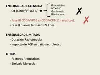ENFERMEDAD EXTENDIDA
- QT (CDDP/VP16) +/- ★

Pravastatina
NTX-010
Ganitumab
Rilotimumab

✗
✗

- Fase III CDDP/VP16 vs CDDP/CPT-11 (asiáticos).
- Fase II nuevos fármacos 2ª línea.
ENFERMEDAD LIMITADA
- Duración Radioterapia
- Impacto de RCP en daño neurológico
OTROS
- Factores Pronósticos.
- Biología Molecular.

 