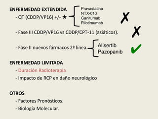 ENFERMEDAD EXTENDIDA
- QT (CDDP/VP16) +/- ★

Pravastatina
NTX-010
Ganitumab
Rilotimumab

✗
✗

- Fase III CDDP/VP16 vs CDDP/CPT-11 (asiáticos).
- Fase II nuevos fármacos 2ª línea.
ENFERMEDAD LIMITADA
- Duración Radioterapia
- Impacto de RCP en daño neurológico
OTROS
- Factores Pronósticos.
- Biología Molecular.

Alisertib
Pazopanib

✔

 